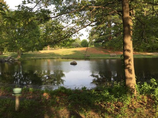 Francis William Bird Park