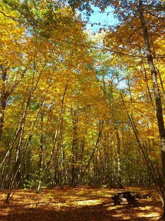 Purgatory Chasm State Reservation