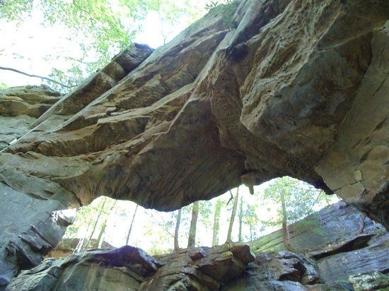 Split Bow Arch