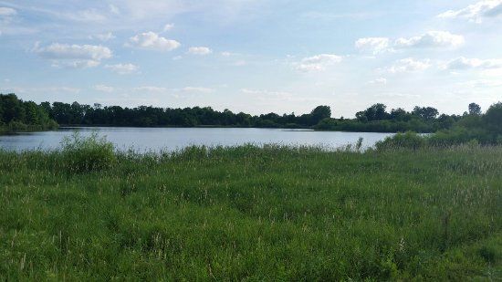 Pickerington Ponds