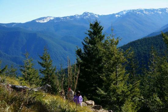 Sun Top Lookout