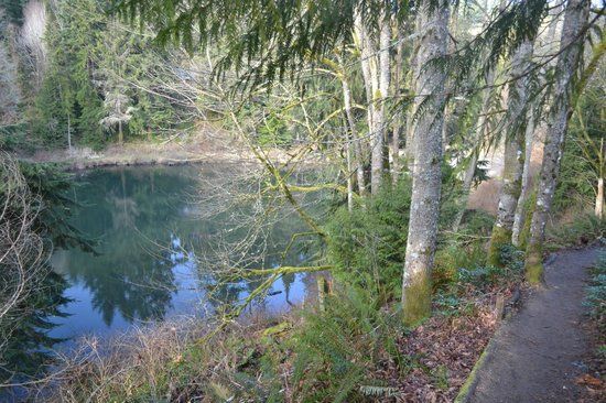 Boeing Creek Park