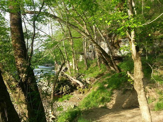 Muscatatuck County Park