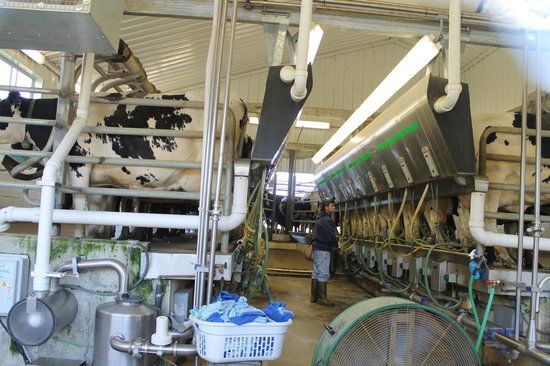 Wright's Dairy Farm and Bakery