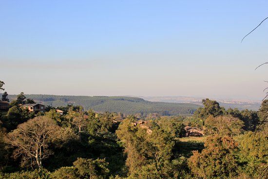 Queen Elizabeth Park