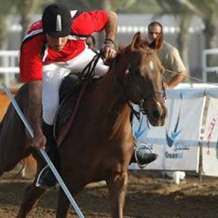 International Equestrian Club