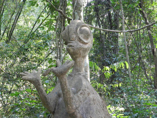 Sacred Osun Grove