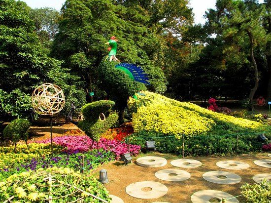 Jardín botánico de Hangzhou