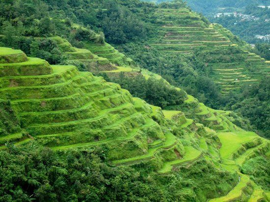 Banaue Rice Terraces