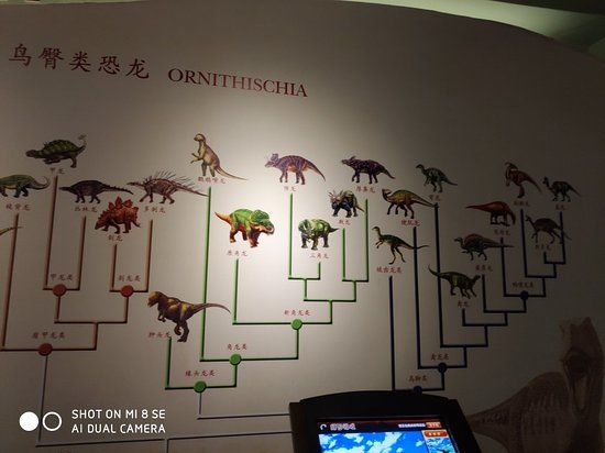 Nanjing Geological Museum
