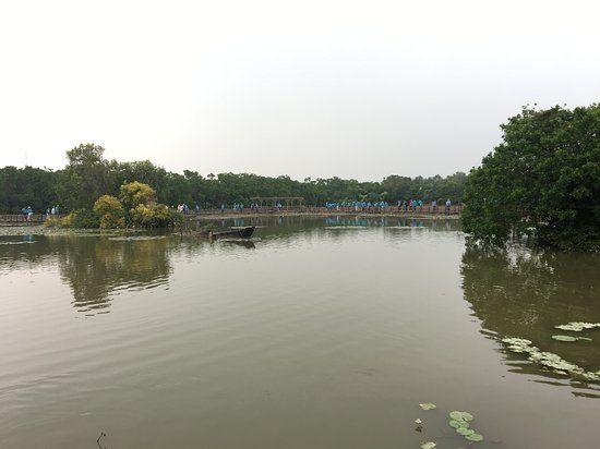 Nansha Wetland Park