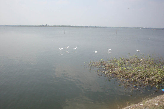 Gandipet Lake