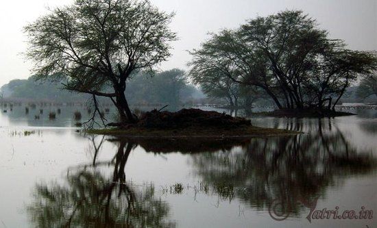 Sultanpur National Park
