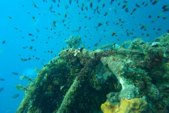 Sunken Japanese Wrecks