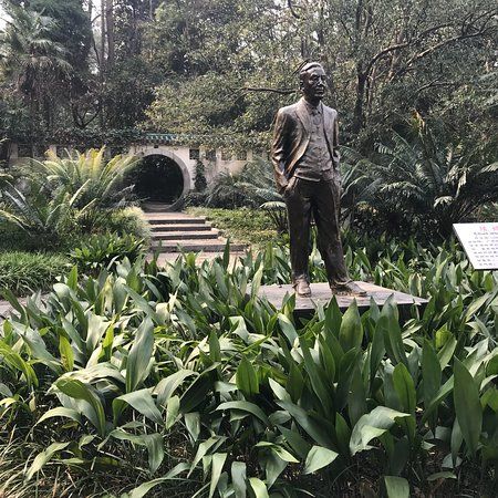 Chinese Academy of Sciences