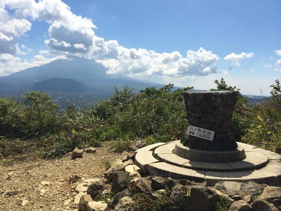 Shoji Panoramic Viewing Platform