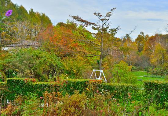Barakura English Garden