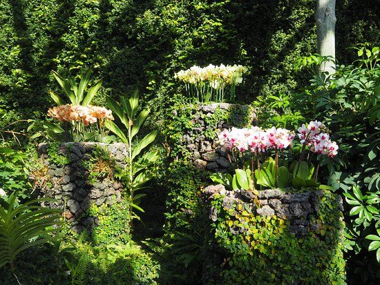 Botanischer Garten Yeomiji