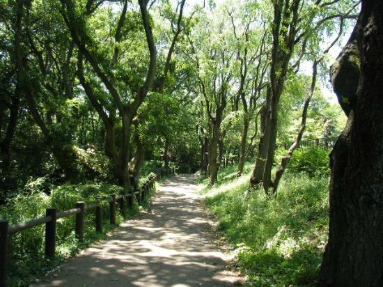 Kanagawa Prefectural Hodogaya Park