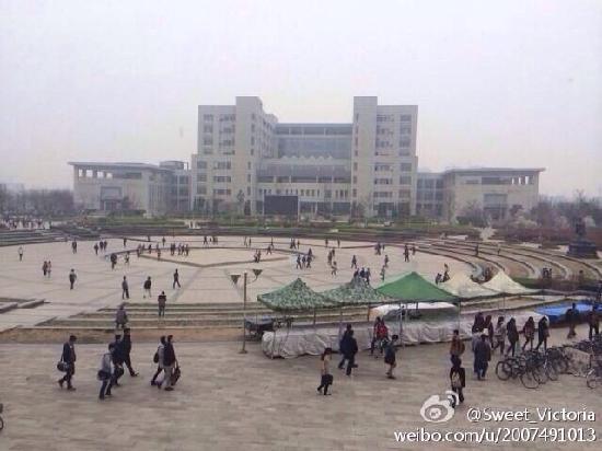 Henan University Museum