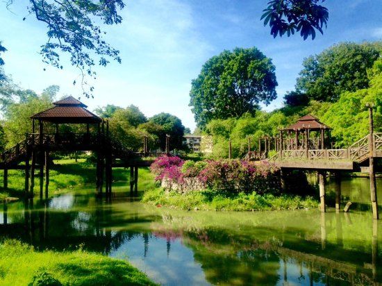 D.R. Seenivasagam Park