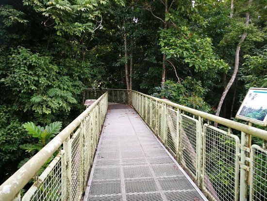 Centre de découverte de la forêt tropicale