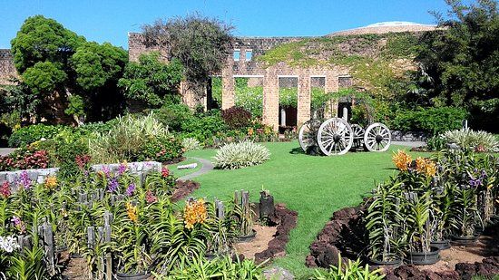 Tropical Dream Center