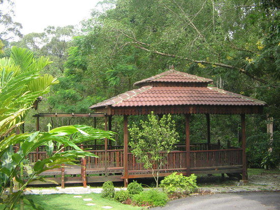 Institut Penyelidikan Perhutanan Malaysia