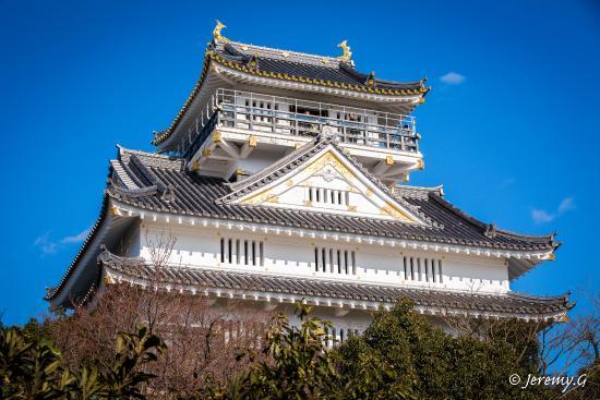 Gifu Castle