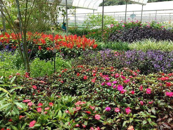 Agro-Technology Park Mardi Cameron Highlands