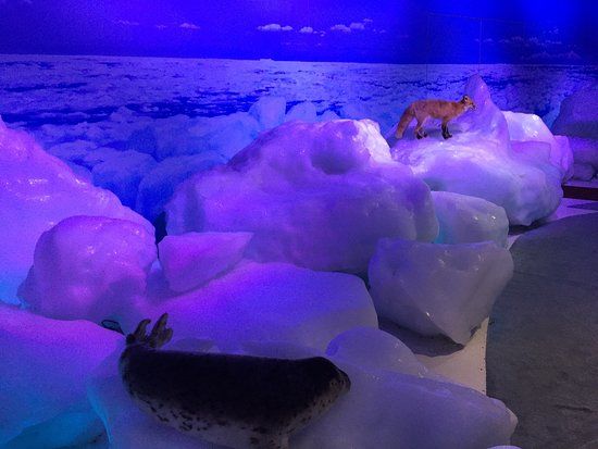 Okhotsk Ryuhyo Museum