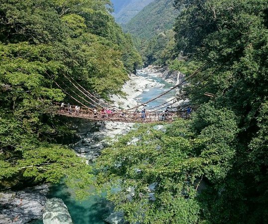 Kazura Bridge of Iya