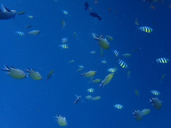 Wrack der USS Liberty