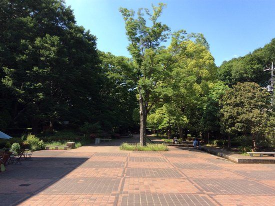 Machida-byens museum for reklamegrafik og -illustrationer