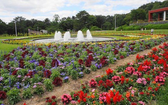 Hattori Ryokuchi Park