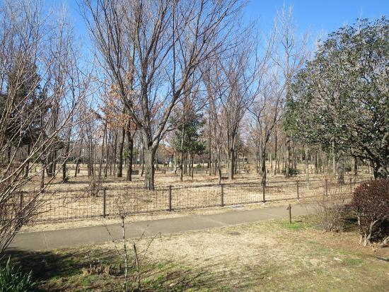 Kashinomiya Park