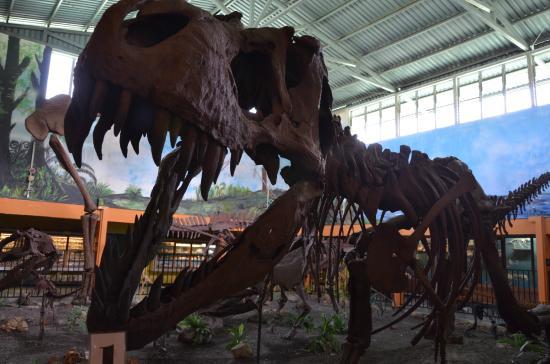 Museo de Ciencias Naturales La Salle