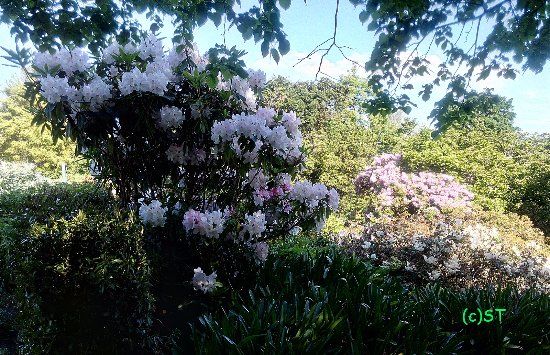 Timaru Botanic Gardens
