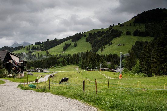 Fromagerie d'Alpage de Moléson