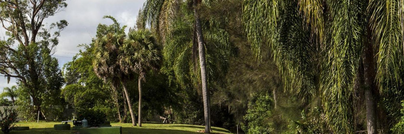 Warm Mineral Springs