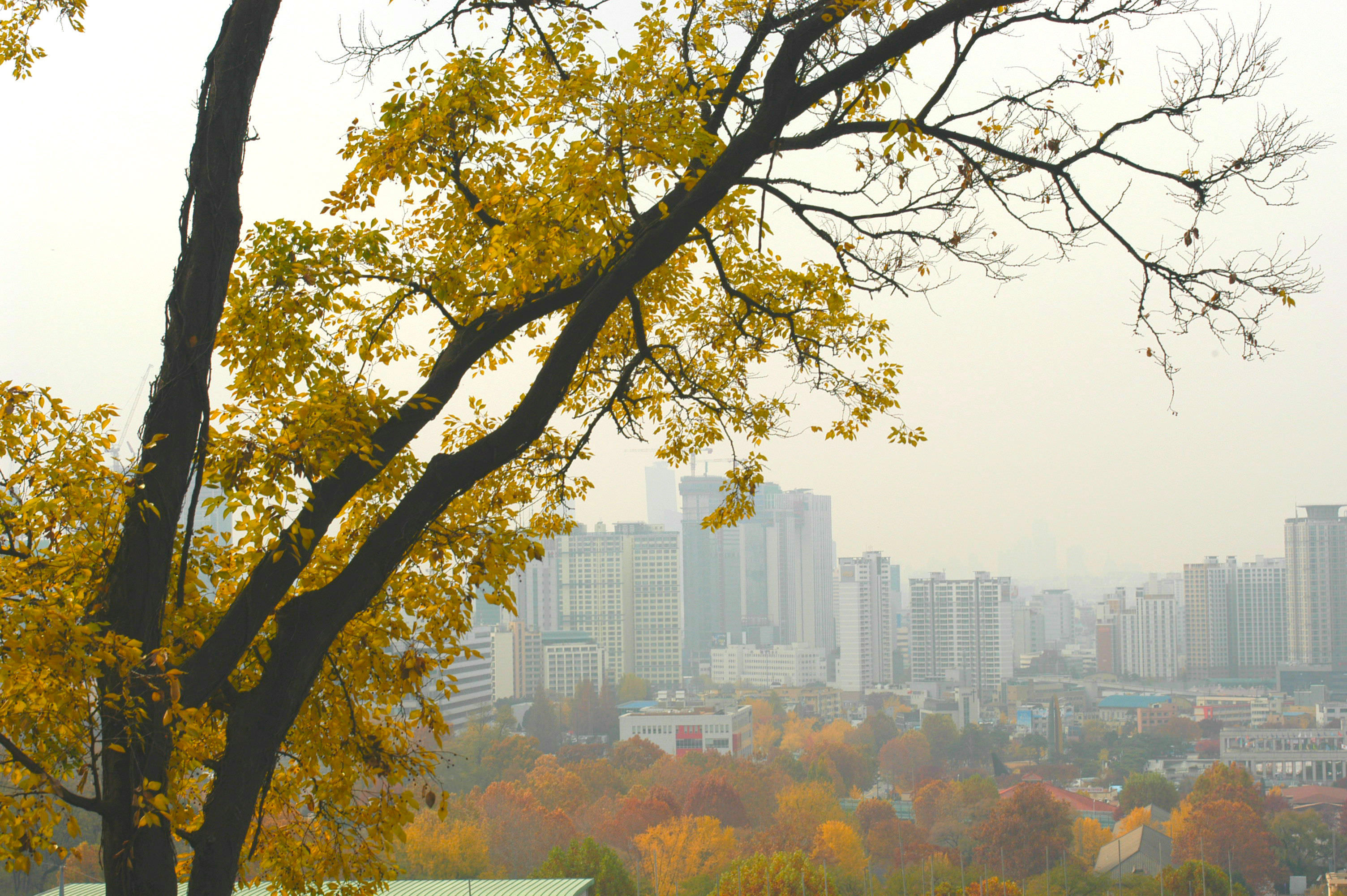 Itaewon Bugundang History Park