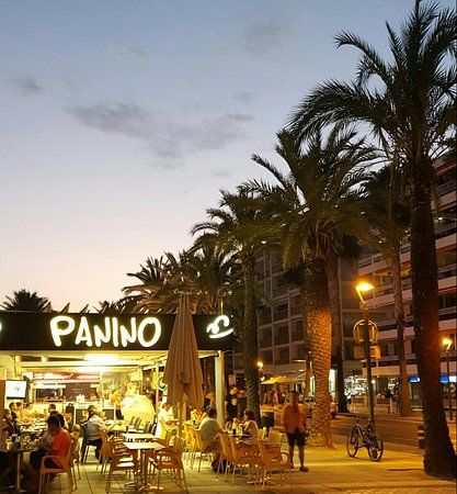 Panino