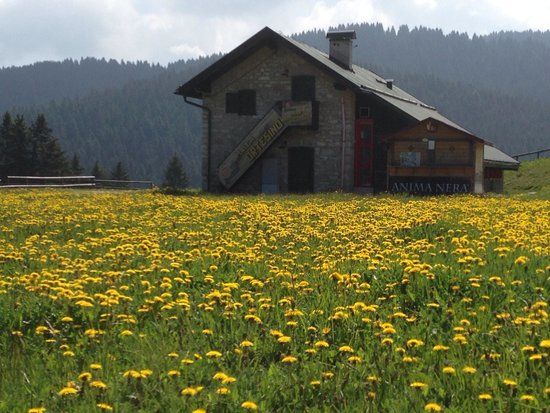 Rifugio Malga Ortesino