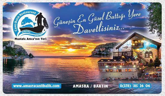 Canlı Balık Mustafa Amca'nın Yeri