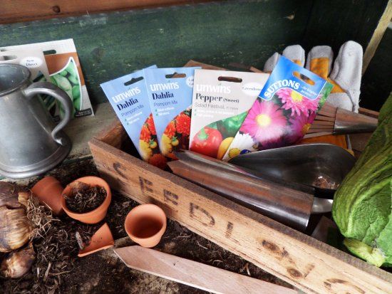 Stewarts Christchurch Garden Centre