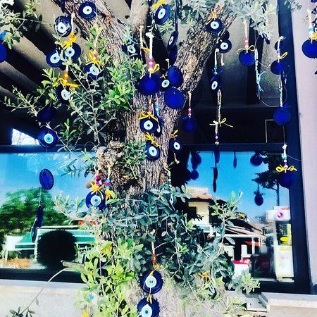 The Lemon Tree Restaurant Hisaronu