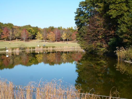 Hokuso Hananooka Park