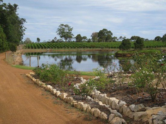 Knights Winery and Distillery