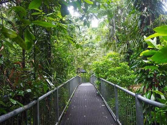 Daintree Discovery Centre