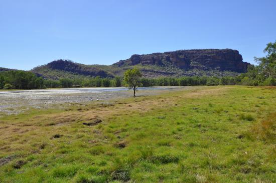 Anbangbang Billabong